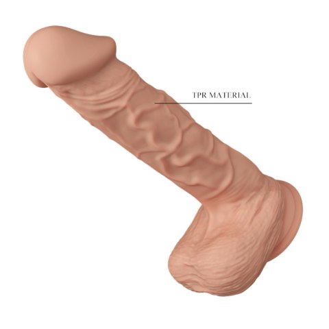 BAILE-Beautiful Bergrisi 10.2"""" BAILE