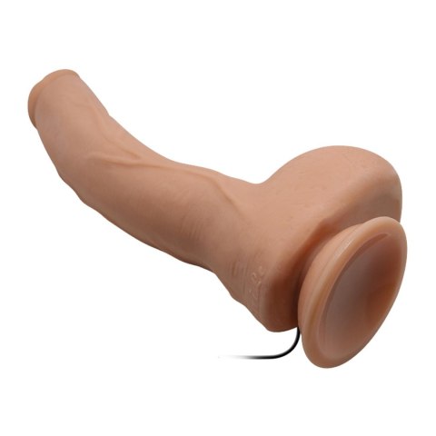 BAILE-Beautiful Jack 10.6"""" BAILE