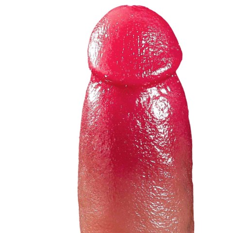 Wibrator-Silicone, 10 vibration modes 7 thrusting function, Heating B - Series Fox
