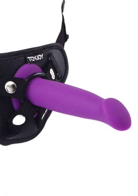 Goodhead Dong 6 Inch Purple TOYJOY