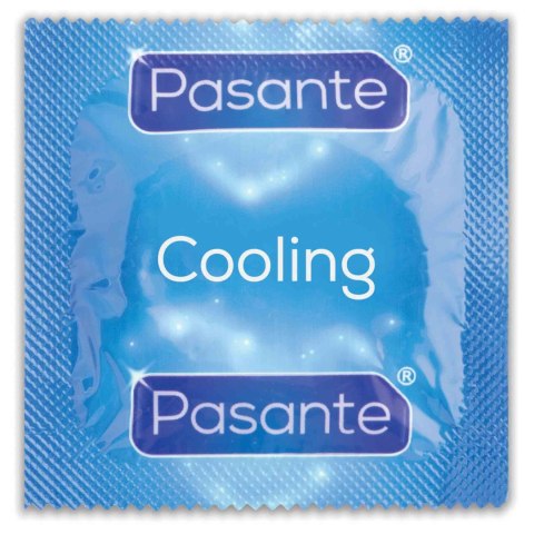 Pasante Cooling Condoms Bulk Packs 144 pcs Pasante