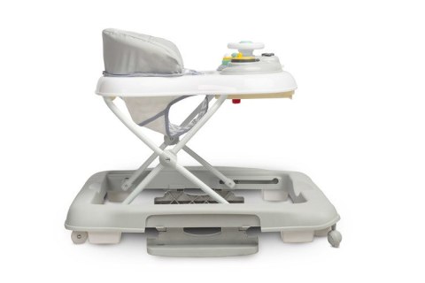 CHODZIK TIMON GREY