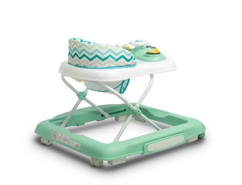 CHODZIK TIMON MINT