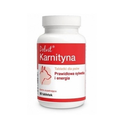 Dolfos Dolvit Karnityna 90 Tabletek Dolfos