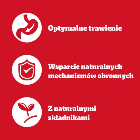 Pedigree Mokra Karma Dla Dorosłych Psów W Galaretce (Z Wołowiną, Z Drobiem) 4x100g Pedigree