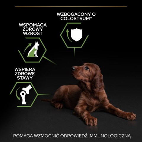 Purina Pro Plan Large Puppy Athletic Optistart Kurczak I Ryż 12kg Purina Pro Plan