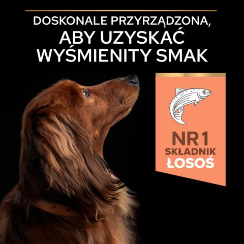 Purina Pro Plan Small & Mini Adult Sensitive Optiderma Łosoś I Ryż 7kg Purina Pro Plan