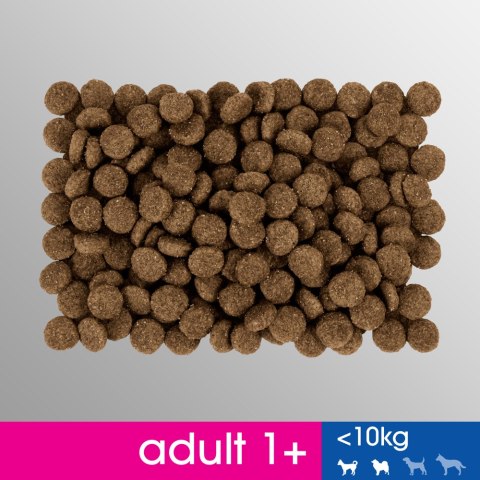 PERFECT FIT Adult 1+ Małe Rasy Z Kurczakiem 6kg Perfect Fit