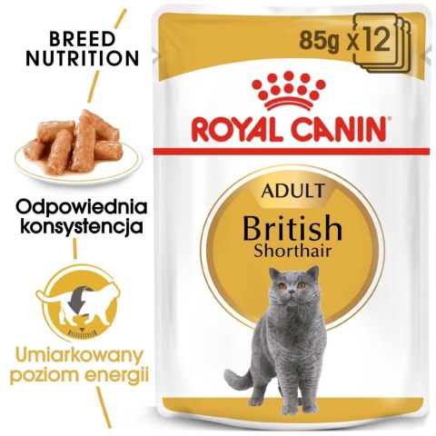 ROYAL CANIN British Shorthair Adult 12x85g Royal Canin