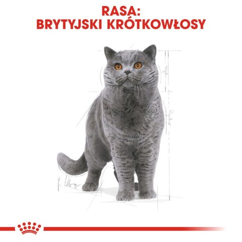 ROYAL CANIN British Shorthair Adult 12x85g Royal Canin