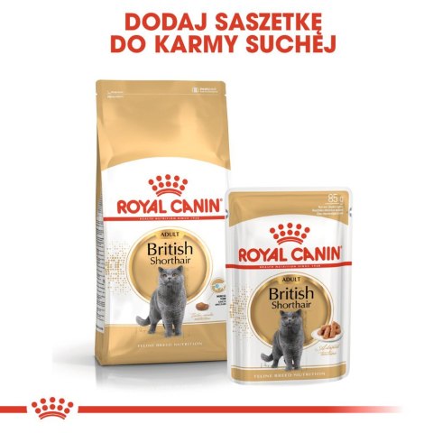 ROYAL CANIN British Shorthair Adult 12x85g Royal Canin