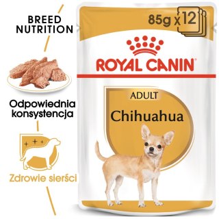 ROYAL CANIN Chihuahua Adult 12x85g Royal Canin