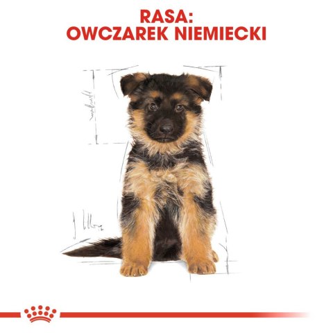 ROYAL CANIN German Shepherd Puppy 12kg Royal Canin