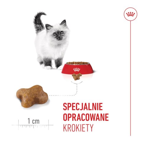 ROYAL CANIN Kitten 2kg Royal Canin
