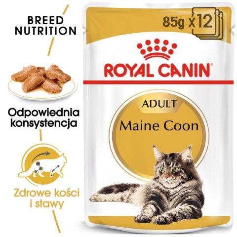 ROYAL CANIN Maine Coon Adult 12x85g Royal Canin