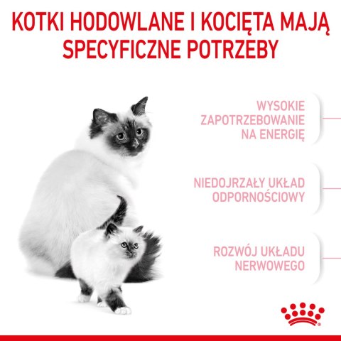 ROYAL CANIN Mother & Babycat 2kg Royal Canin