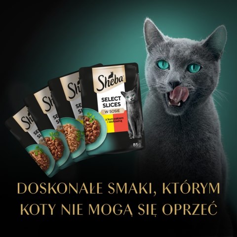 Sheba Saszetka Selection In Sauce Soczyste Smaki 4x85g Sheba