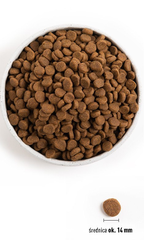 Orijen Senior 11,4kg Orijen