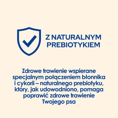 Purina Dog Chow Puppy Z Jagnięciną 14kg Purina Dog Chow