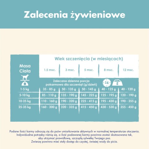 Purina Dog Chow Puppy Z Jagnięciną 14kg Purina Dog Chow