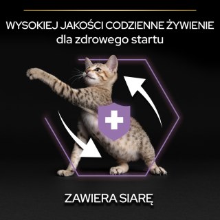Purina Pro Plan Original Kitten Kurczak Z Ryżem 10kg Purina Pro Plan