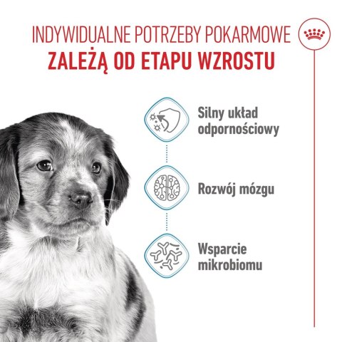 ROYAL CANIN Medium Puppy 1kg Royal Canin