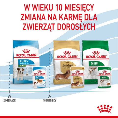 ROYAL CANIN Mini Puppy 12x85g Royal Canin