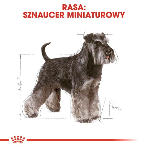 ROYAL CANIN Miniature Schnauzer Adult 3kg Royal Canin