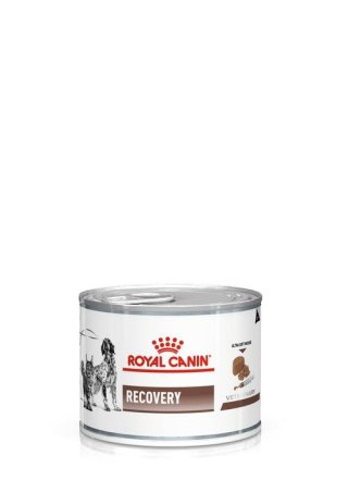ROYAL CANIN Recovery 195g Royal Canin weterynaria