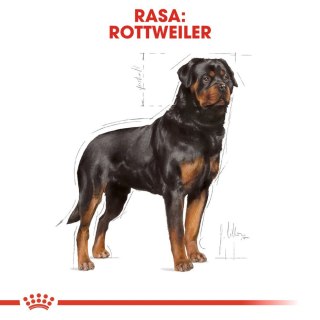 ROYAL CANIN Rottweiler Adult 12kg Royal Canin