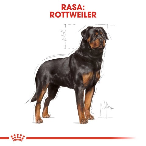 ROYAL CANIN Rottweiler Adult 12kg Royal Canin