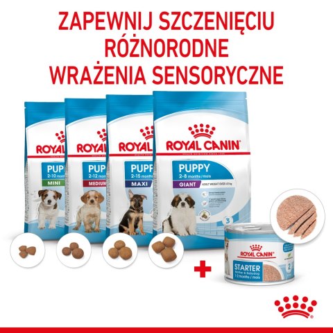 ROYAL CANIN Starter Mousse Mother & Babydog 195g Royal Canin