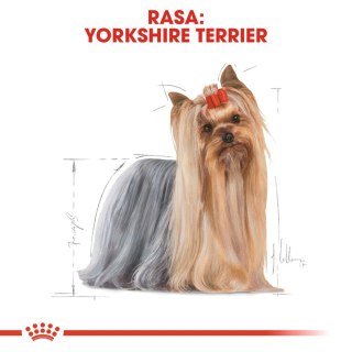 ROYAL CANIN Yorkshire Terrier Adult 3kg Royal Canin