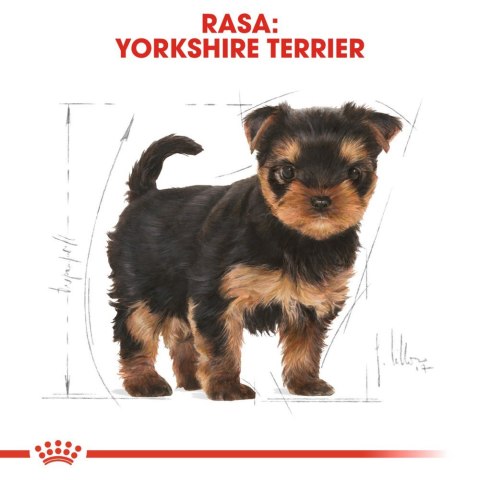 ROYAL CANIN Yorkshire Terrier Puppy 500g Royal Canin