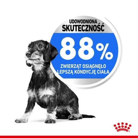 ROYAL CANIN CCN Mini Light Weight Care 8kg Royal Canin