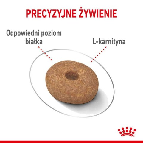 ROYAL CANIN CCN Mini Light Weight Care 8kg Royal Canin