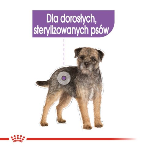 ROYAL CANIN CCN Sterilised Mini Pasztet 12x85g Royal Canin