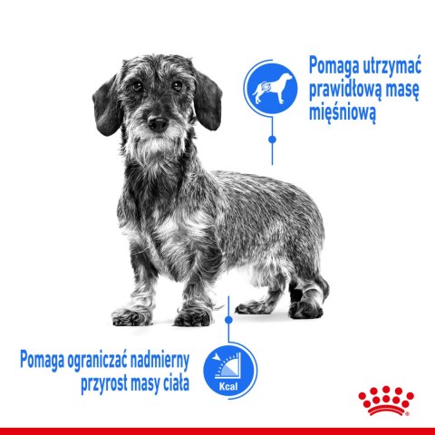 ROYAL CANIN Light Weight Care Pasztet 12x85g Royal Canin