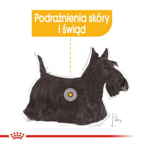 ROYAL CANIN Mini Dermacomfort 8kg Royal Canin