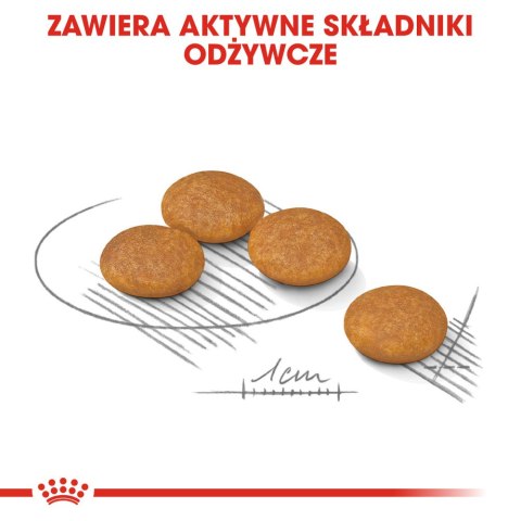 ROYAL CANIN Mini Dermacomfort 8kg Royal Canin