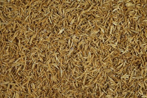 Tetra Anchovies 1l TETRA