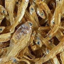 Tetra Anchovies 1l TETRA