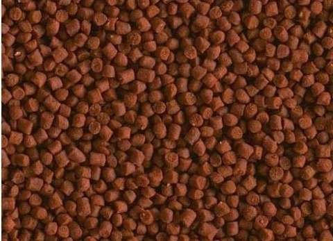 Tetra Crusta Granules 100ml TETRA