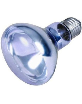 Trixie Neodymowa Żarówka Grzewcza 75W Trixie