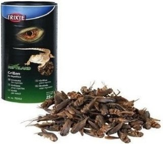 Trixie Suszone Świerszcze 25g Trixie