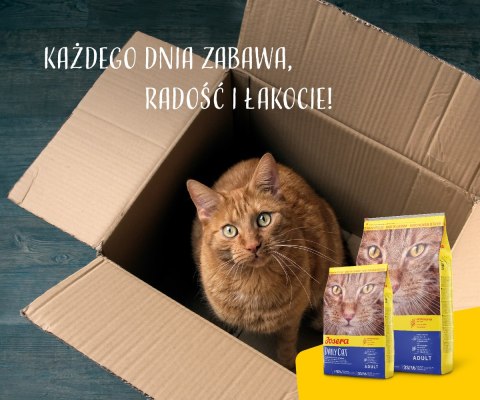 Josera Daily Cat 10kg Josera