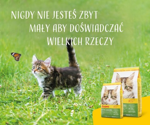 Josera Kitten Grainfree 2kg Josera