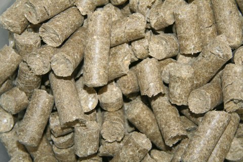 KERBL Delizia Smakołyki Malina 1kg Kerbl