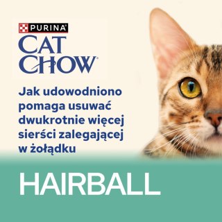Purina Cat Chow Hairball Karma Z Kurczakiem I Zieloną Fasolką W Sosie 85g Purina Cat Chow