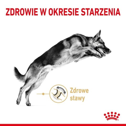 ROYAL CANIN German Shepherd Adult 5+ 12kg Royal Canin